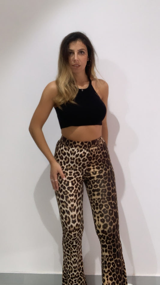 Pantaleggings a zampa